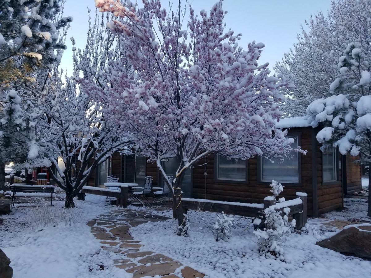West Winds Lodge 루이도소 외부 사진